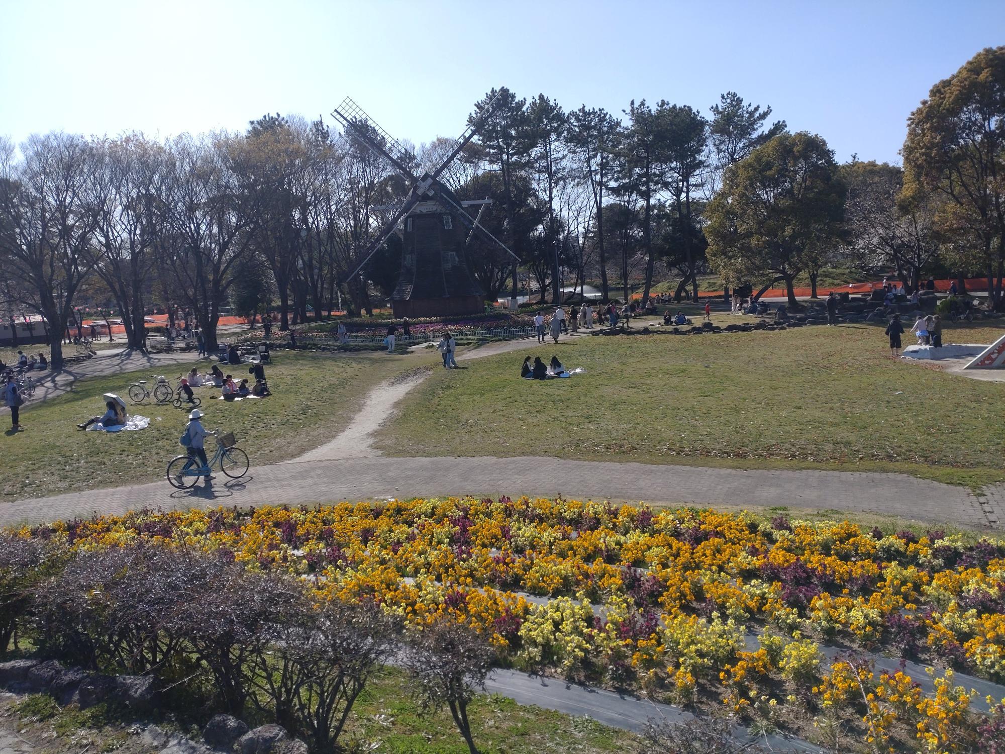 名城公園の風車と芝生広場、色とりどりの花壇が広がる春の風景。