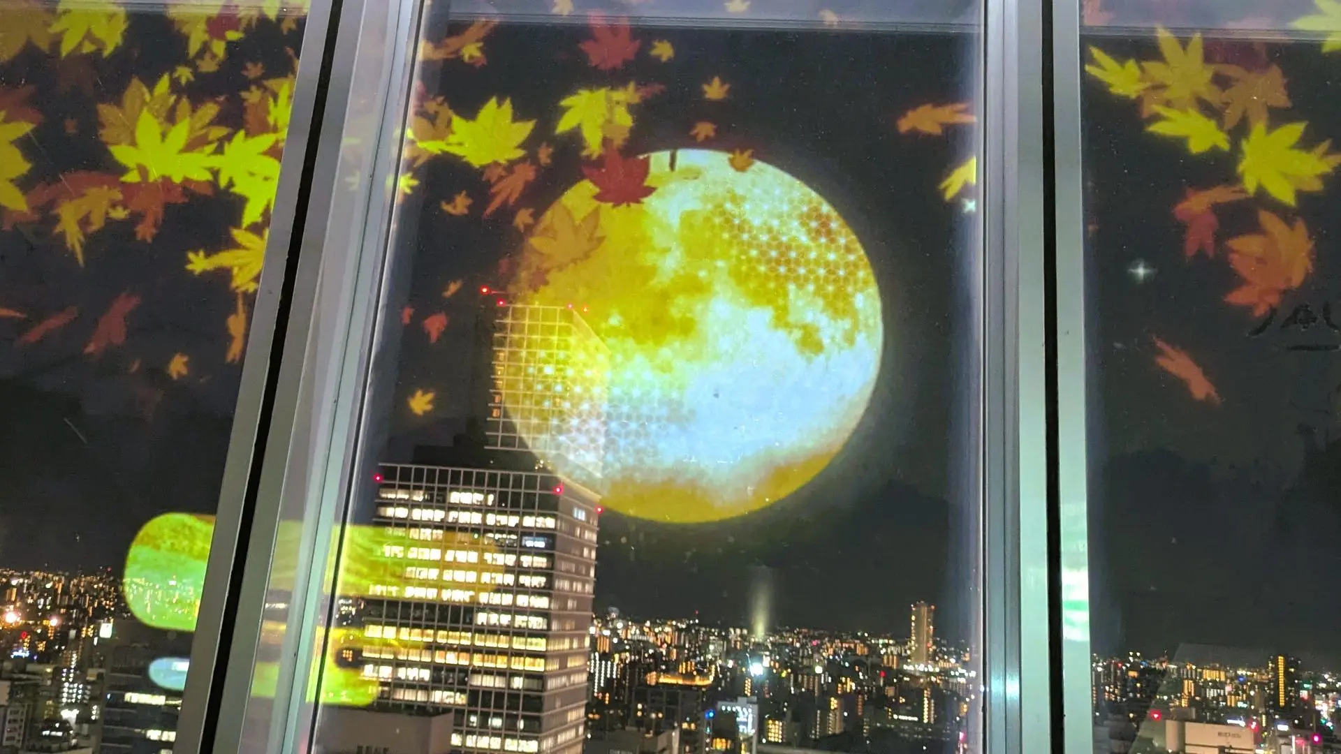 夜景を望む窓に月の投影と秋の葉が映し出されている様子。