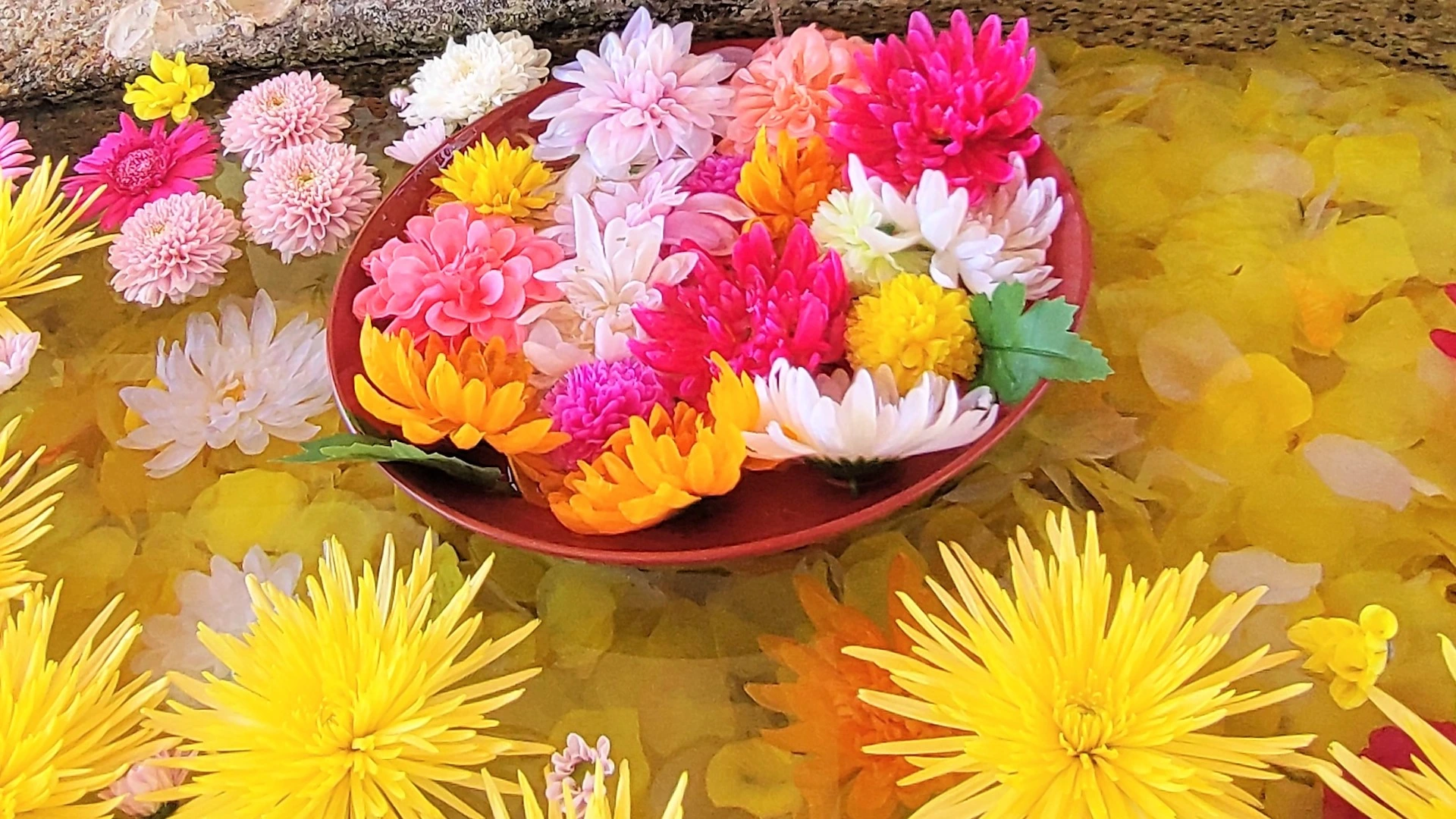 別小江神社の花手水