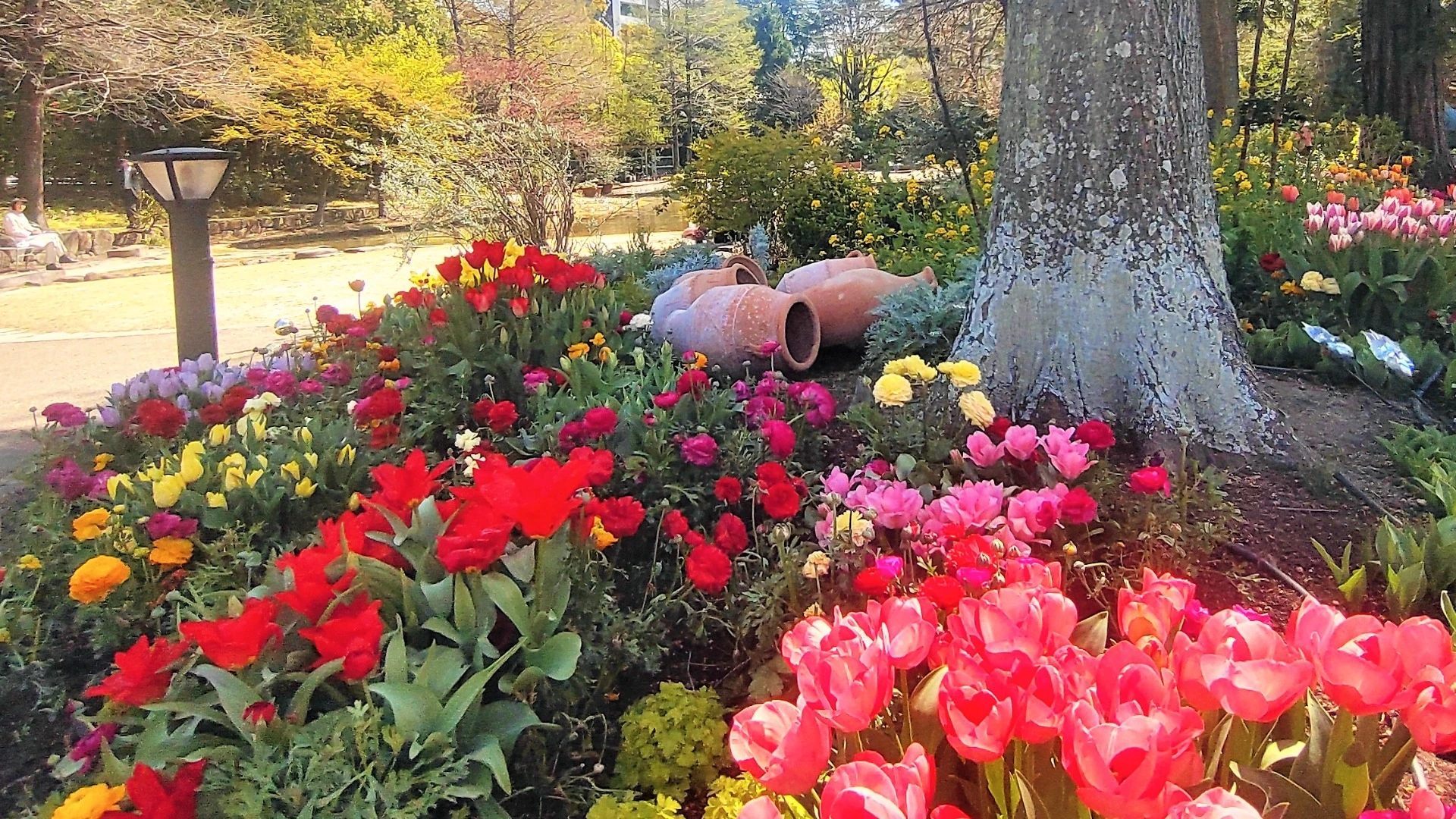 名古屋市中区・久屋大通庭園フラリエの春の花が彩るガーデン風景（2023年）