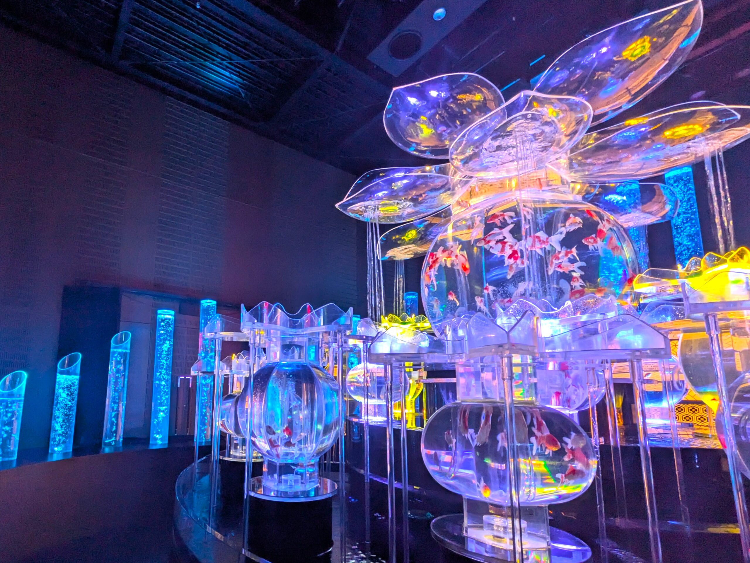 アートアクアリウム展名古屋